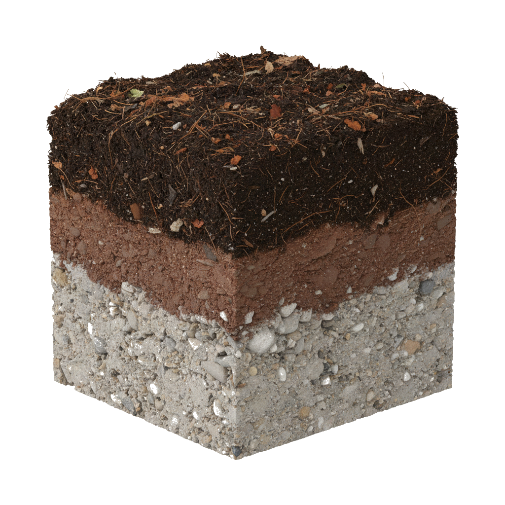 Alderwood soil profile