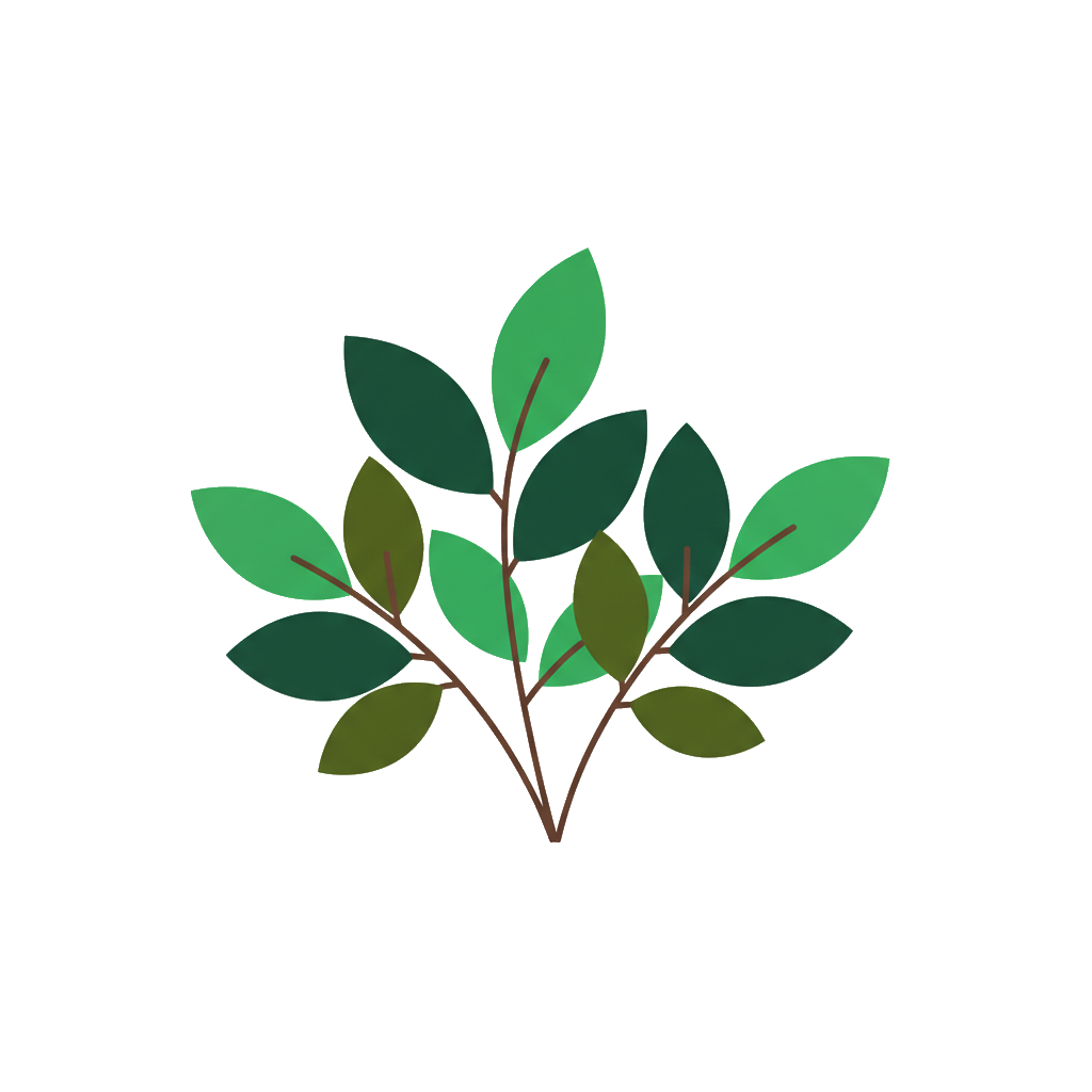 Salal plant